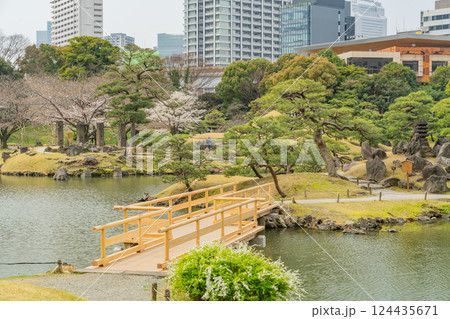 【東京都】桜が咲き始めた、旧芝離宮恩賜庭園 【東京都】桜が咲き始めた、旧芝離宮恩賜庭園 124435671