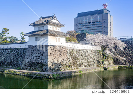 大分　府内城址と桜と県庁 124436961