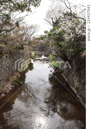 琴弾橋から見た滑川 琴弾橋から見た滑川 124437041