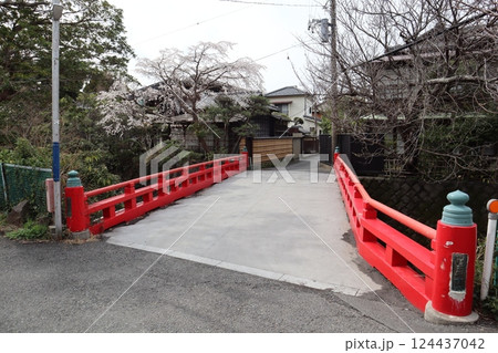 桜が咲き始めた琴弾橋(神奈川県鎌倉市大町1丁目) 桜が咲き始めた琴弾橋(神奈川県鎌倉市大町1丁目) 124437042