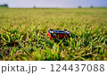 草原の赤い車のおもちゃ 草原の赤い車のおもちゃ 124437088