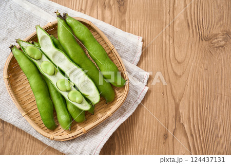 春が旬のそら豆／竹かごに盛られた生のそら豆 124437131