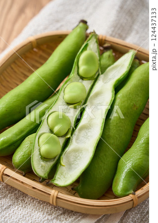 春が旬のそら豆/竹かごに盛られた生のそら豆 春が旬のそら豆/竹かごに盛られた生のそら豆 124437133