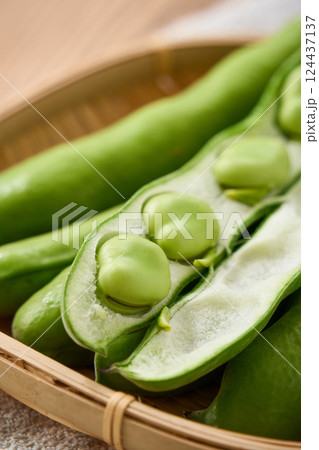 春が旬のそら豆/竹かごに盛られた生のそら豆 春が旬のそら豆/竹かごに盛られた生のそら豆 124437137