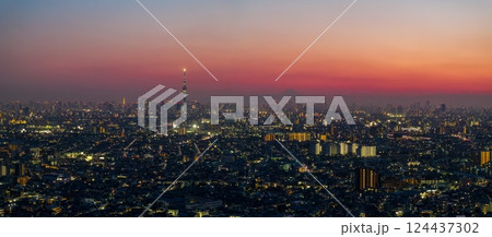 空撮「東京都」ドローンで江戸川上空から東京夕景を撮影 124437302