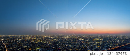 空撮「東京都」ドローンで江戸川上空から東京夜景を撮影 空撮「東京都」ドローンで江戸川上空から東京夜景を撮影 124437478