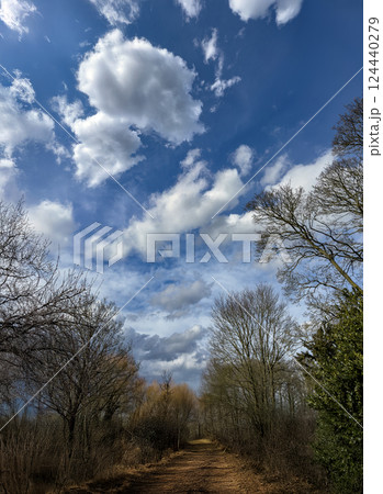 Cloudscape - Blue sky and clouds 124440279