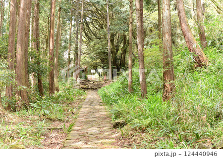 長興山　紹太寺　石畳 124440946