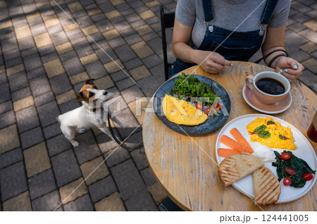 Jack Russell begging the owner in a street cafe. Woman having breakfast in dog friendly outdoor cafe.  124441005