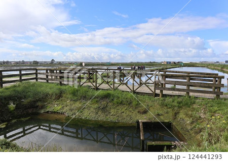 ポルトガル・アヴェイロの塩田 ポルトガル・アヴェイロの塩田 124441293