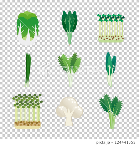 野菜1 野菜1 124441355