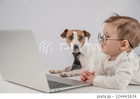 Cute baby boy and Jack Russell terrier dog working on a laptop.  124441614
