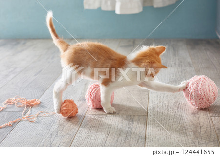 kitten is playing on the floor with balls of wool. Lifestyle. 124441655