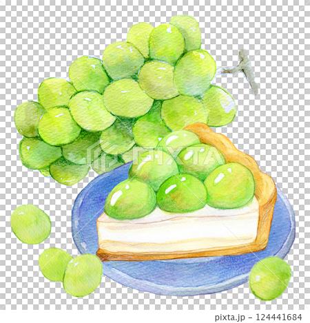 水彩イラスト　フレッシュなマスカットタルト 124441684