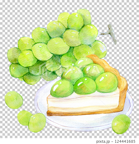 水彩イラスト　フレッシュなマスカットタルト 124441685