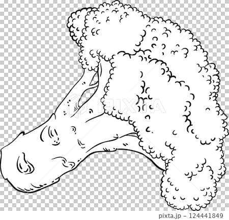 Broccoli Vegetable Outline llustration. 124441849
