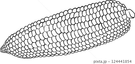 Corn on the Cob Outline Illustration Corn on the Cob Outline Illustration 124441854