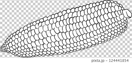 Corn on the Cob Outline Illustration Corn on the Cob Outline Illustration 124441854