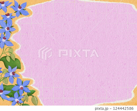 Edible flower torn paper background for Borage flower Edible flower torn paper background for Borage flower 124442586