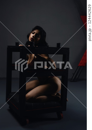 Woman Kneeling in a Cage prepared for bdsm game 124442629