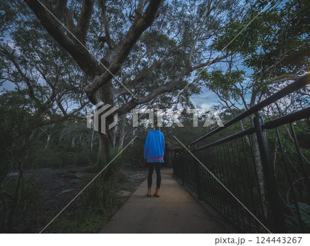 Rear view of woman standing on footpath and looking at trees 124443267