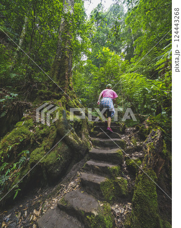 Rear view of woman climbing up stone steps in forest 124443268