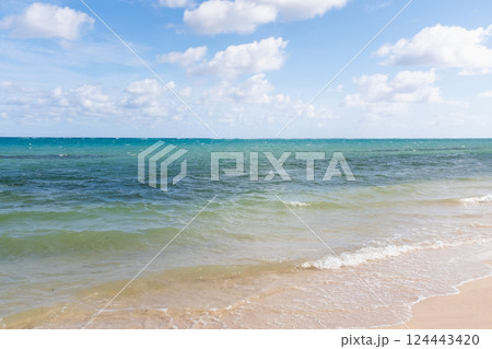 Calm sea waves on sandy beach 124443420