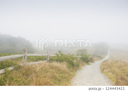 Path to the Nantucket Cliffs in fog 124443421