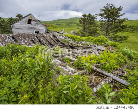 Abandoned wooden house in field 124443480
