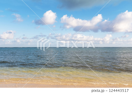 Calm sea waves on sandy beach 124443517