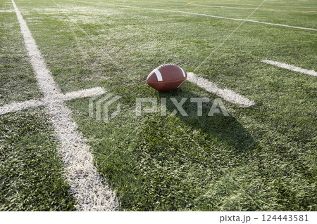 American football ball in field American football ball in field 124443581