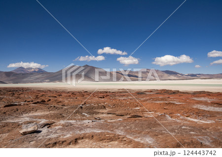 Rock formations in Atacama Desert 124443742