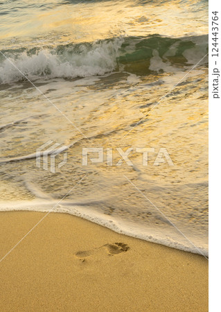 Footprint in sand with ocean shoreline at sunset 124443764