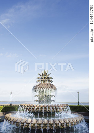 Iconic Pineapple Fountain at Waterfront Park 124443799
