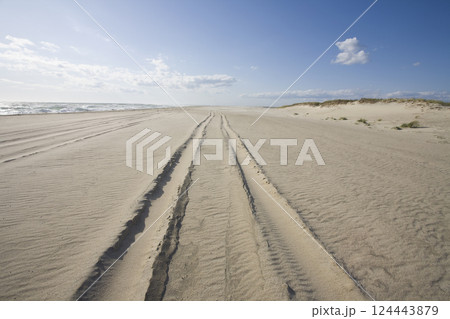 Tire tracks on empty beach Tire tracks on empty beach 124443879