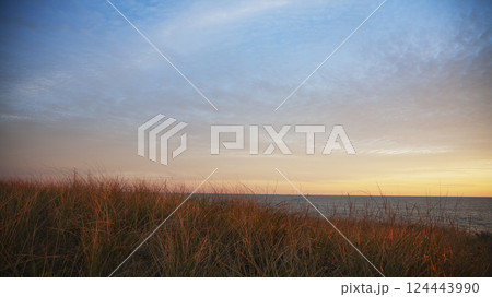 Grass on Quidnet Beach at sunrise Grass on Quidnet Beach at sunrise 124443990