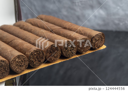 Cigars on a dark background. Product for sale. 124444556