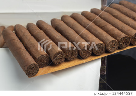 Cigars on a dark background. Product for sale. 124444557