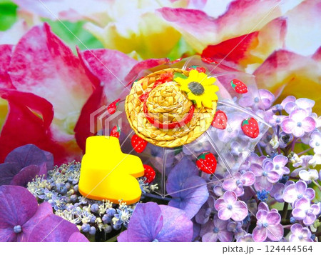 梅雨晴れの朝 124444564