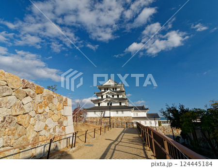 兵庫県尼崎市 青空の尼崎城址公園 兵庫県尼崎市 青空の尼崎城址公園 124445184