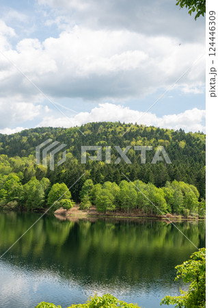 新緑を映す湖の水面 124446309