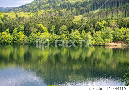 新緑を映す湖の水面 124446310