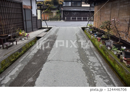 日本の岐阜県の春　高山市中心部の古い町並み　歴史的な日本家屋と立派な松の木　道端に置かれた美しい盆栽 124446706