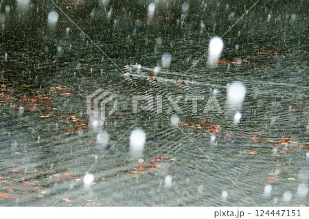 雪の皇居桜田濠 124447151