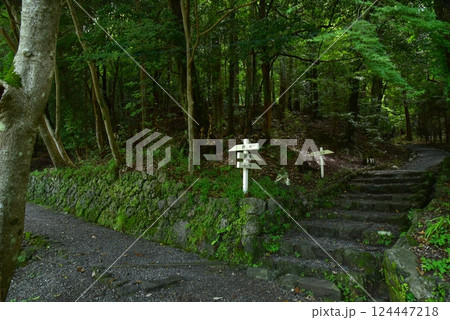 神秘的な森の中の出雲大神宮 124447218