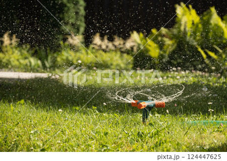 Watering garden with a hose at heat summer. Close up. Automatic smart irrigation system. Green lawn automatic irrigation system in park. Watering garden with a hose at heat summer. Close up. Automatic smart irrigation system. Green lawn automatic irrigation system in park. 124447625