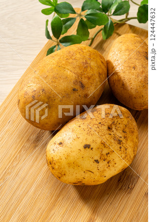 じゃがいも じゃがいも 124447632