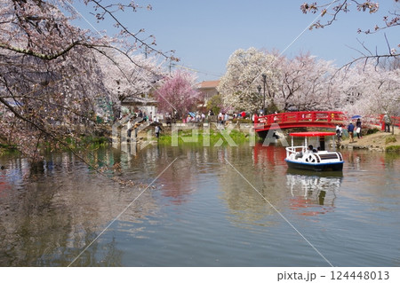臥竜公園さくらまつり 124448013