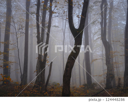 Plitvice Lakes in Croatia during autumn 124448286