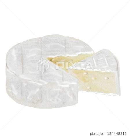 Camembert or brie cheese watercolor drawing. Hand drawn illustration of dairy cream product of French cuisine. Clip art of food on white background. Ideal for packaging of farm organic product or 124448813